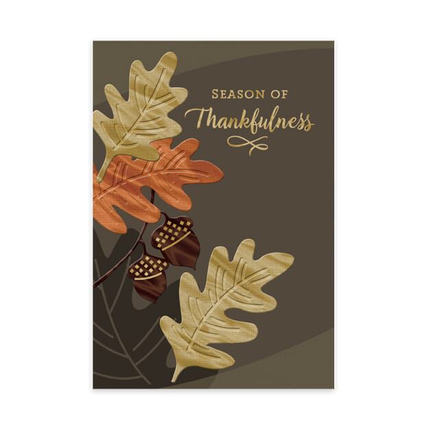 Season of Thankfulness Premium Thanksgiving Card