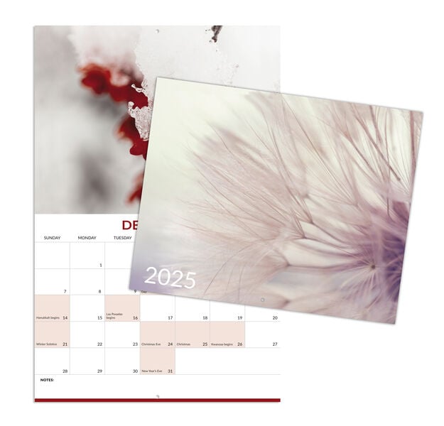 Macro Photography 2025 Wall Calendar