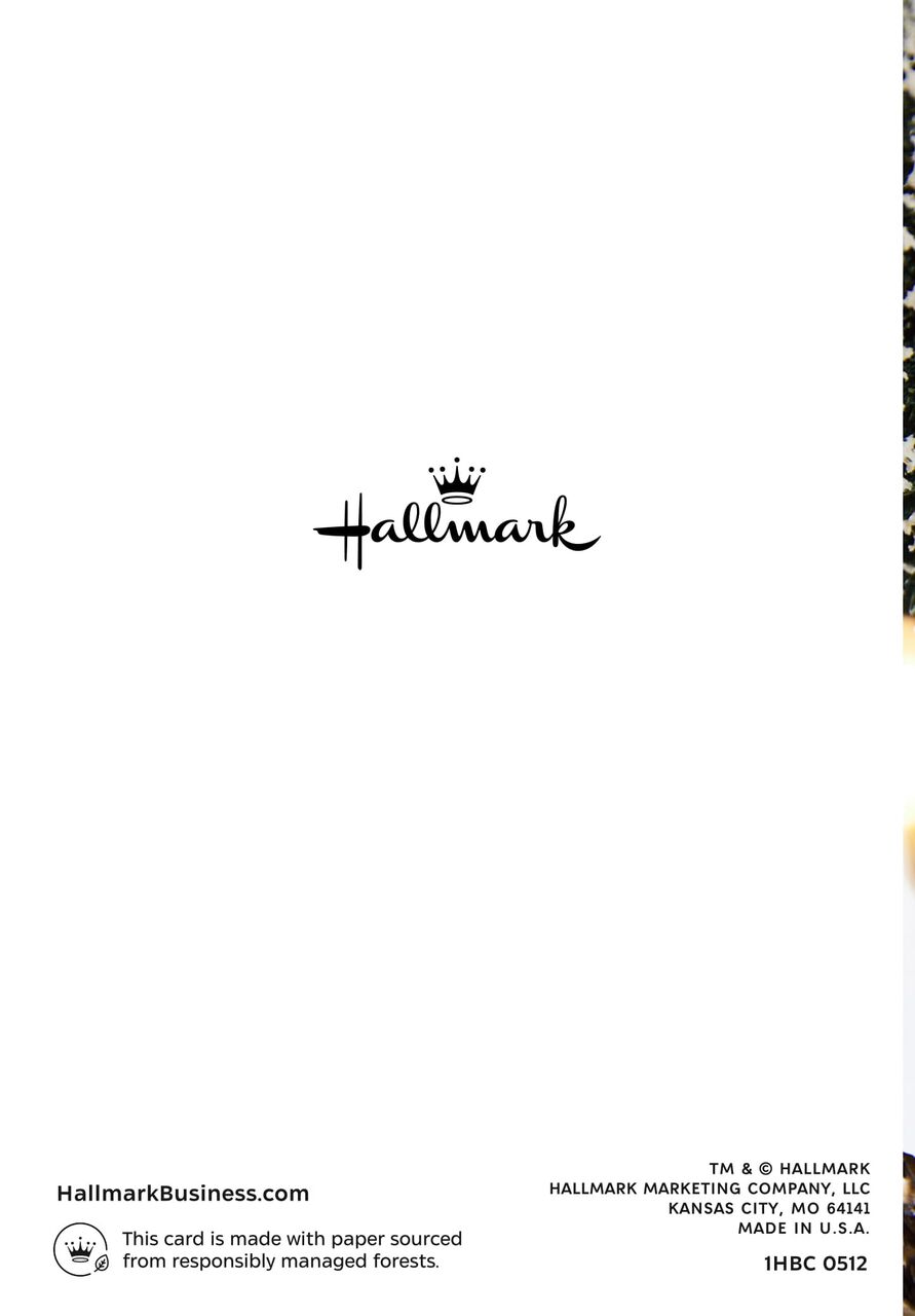 So Very Thankful Holiday Cards | Hallmark Business