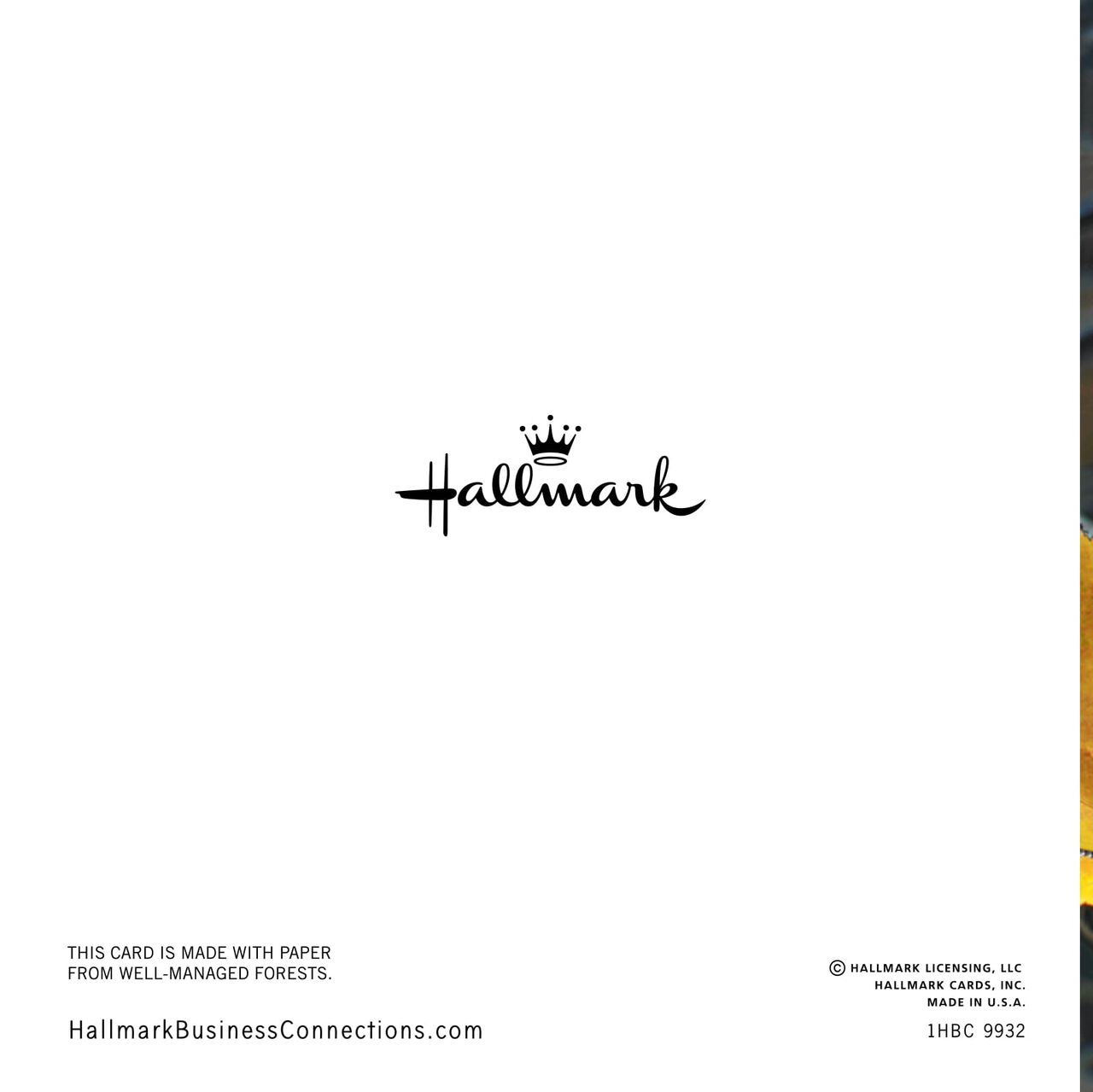 Thankful Team Thanksgiving Card | Hallmark Business